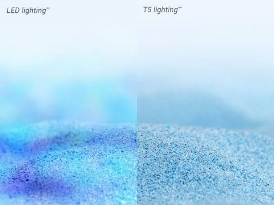 Quang-pho-hieu-uc-anh-sang-den-cho-be-san-ho-t5ho-ati-sunpower-light-on-sand-2