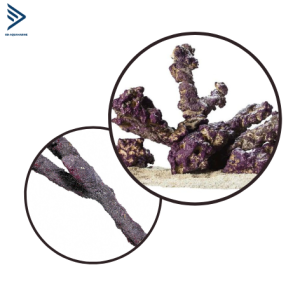 ĐÁ SỐNG LIFEROC BELIZE BRANCH 9kg - CARIBSEA
