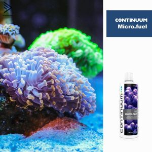 312506720 516317027175559 2195454760709166972 n