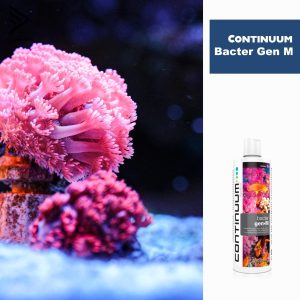VI SINH BACTER GEN M 250ML - CONTINUUM AQUATICS 5 Bacter Gen M