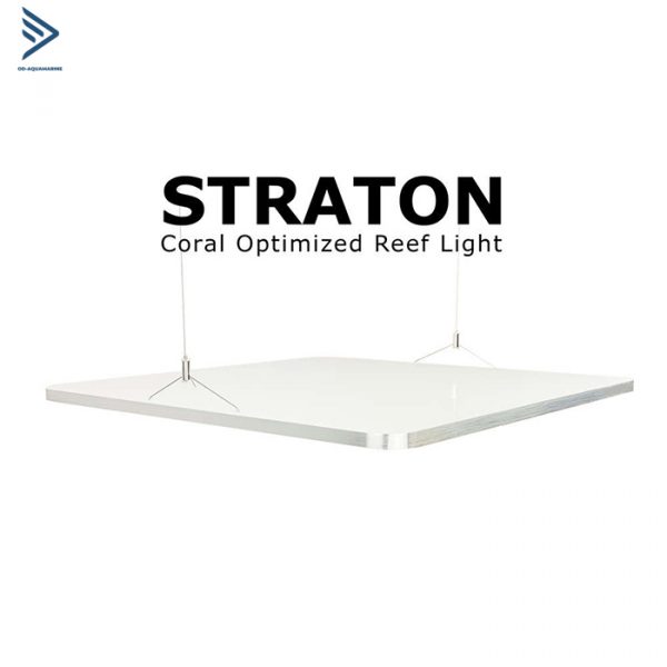 Đèn Led cao cấp cho bể san hô và cá cảnh biển ATI Straton Reef Light