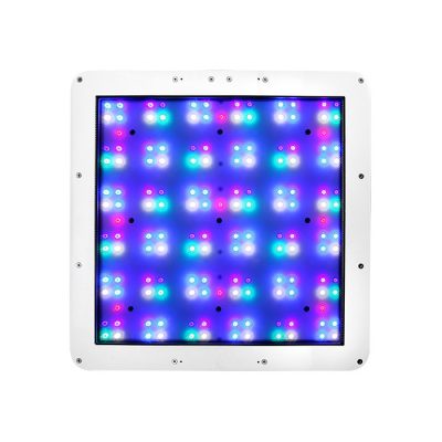 Màu sắc đèn LED ATI Straton Reef Light