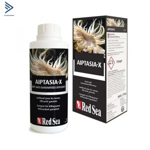 AIPTASIA – X THUỐC DIỆT QUỲ CHÂN NGỖNG CHO HỒ CÁ CẢNH BIỂN | REDSEA