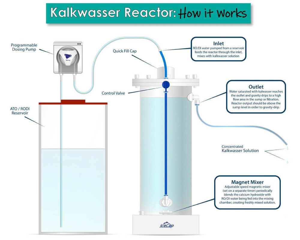Một số câu hỏi thường gặp về Canxi, Magie và Kiềm trong bể cá nước mặn 7 Kalkwasser OD Aqua