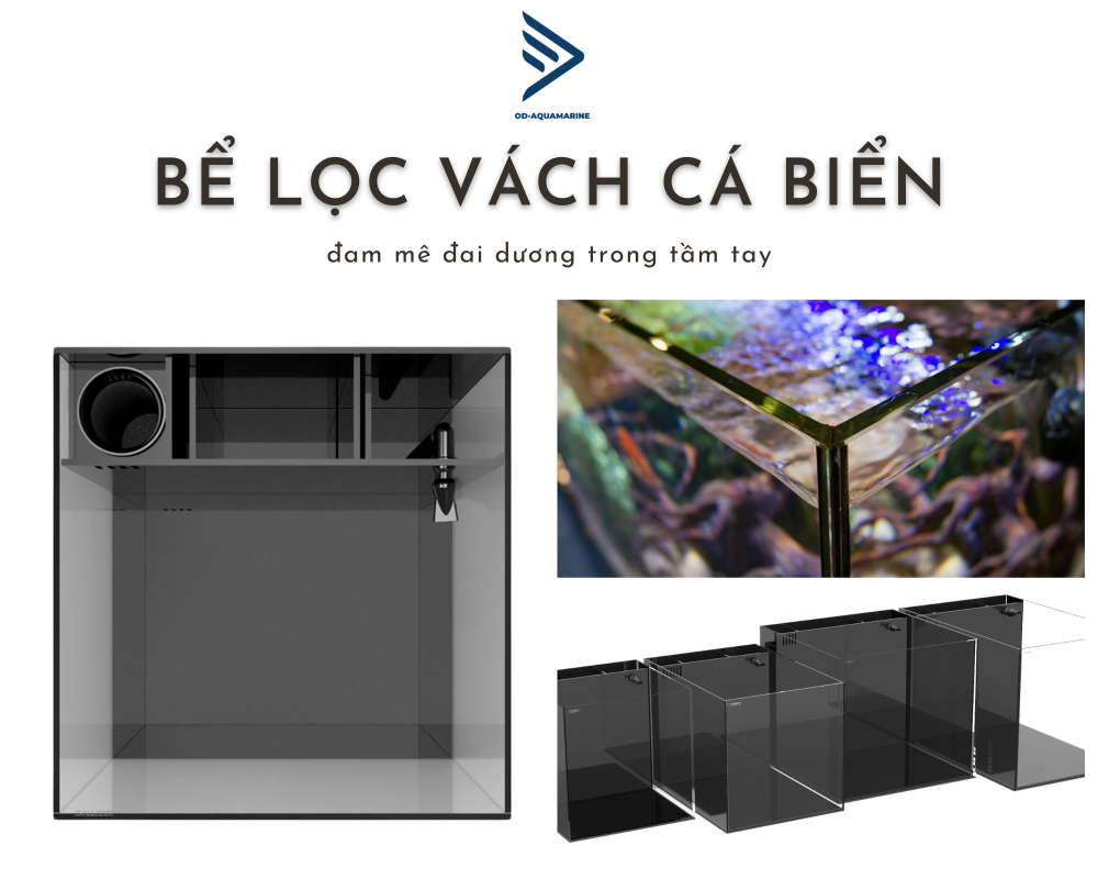 Tuần 1: Lựa chọn một chiếc bể cá như thế nào? Cần chuẩn bị những gì để xây dựng chiếc bể mà bạn mong muốn? 4 Khoa hoc Thiet Ke Noi That co ban