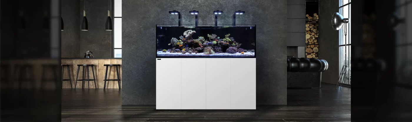 COMBO BỂ CÁ CẢNH BIỂN CHUYÊN NGHIỆP OD-PRO REEFS 6 reefhero 2000x