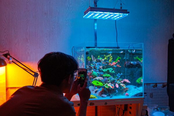 Tuần 3: Bộ lọc của bể cá cảnh biển  3 DSCF0001