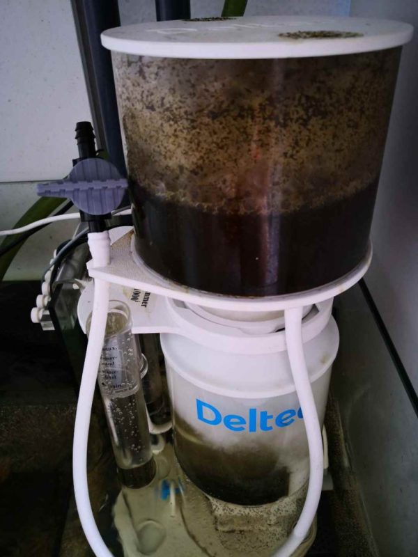 Tuần 3: Bộ lọc của bể cá cảnh biển 5 deltec