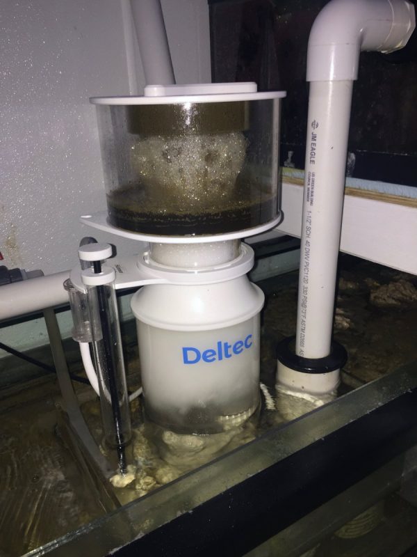 Tuần 3: Bộ lọc của bể cá cảnh biển 6 deltec1
