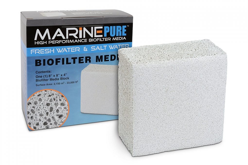 Tuần 3: Bộ lọc của bể cá cảnh biển 12 marin