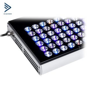 Bước tiến mới của Orphek Natura Icon phát huy tối đa hiệu quả quang hoá và sự pha trộn màu sắc hoàn hảo. Dòng led thế hệ mới giúp tái tạo môi trường thiên nhiên mang màu sắc ưu việt nhất. 