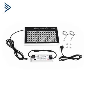 DEN LED ORPHEK NATRUA ICON 2